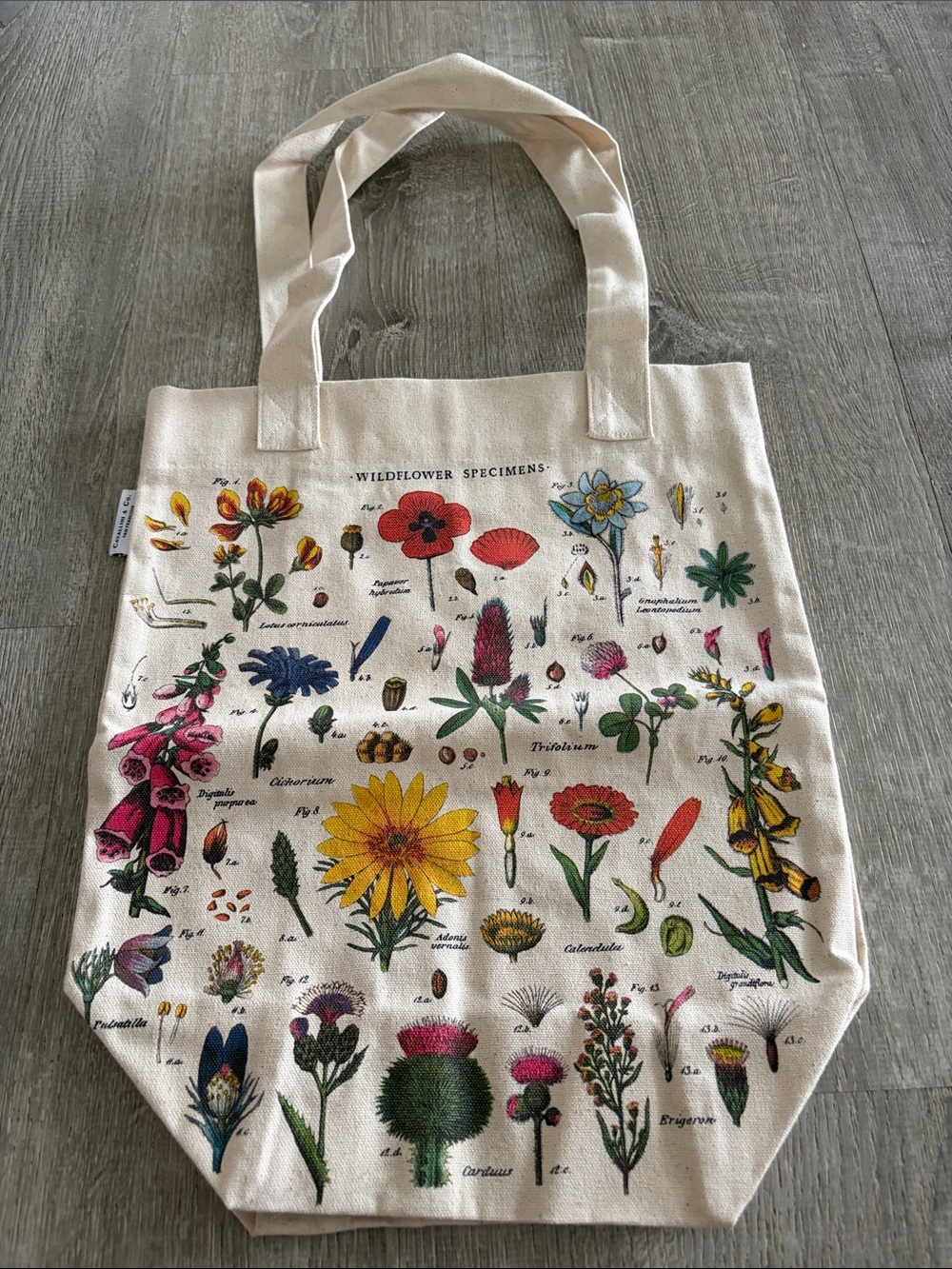 Cavallini & Co Wildflower Specimens Canvas Tote Bag NWOT